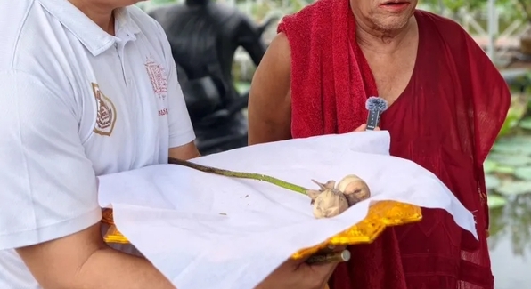 ส่องเลขเด็ดดอกบัวคู่! ชาวบ้านแก้บน “พระเงินพระทอง” หลังรับโชคกว่า 1 ล้าน